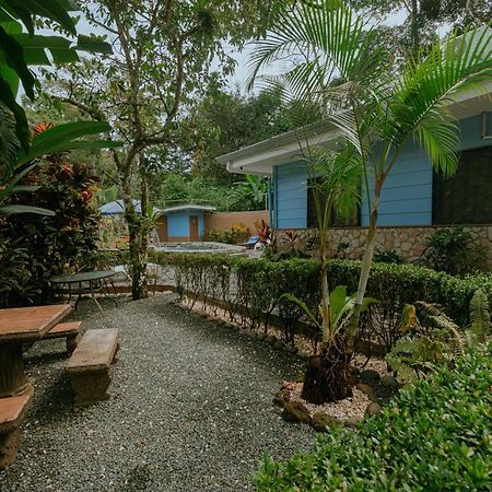 Oasis Diverse Adult Retreat เกโปส ภายนอก รูปภาพ